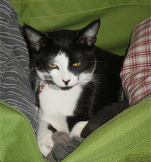 mr-personality-relaxing-new-home